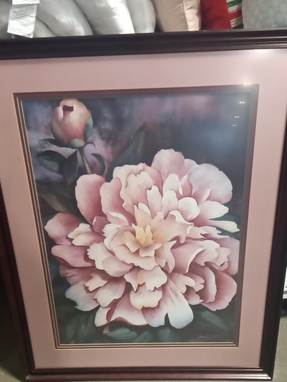 Framed Pink Peony Floral Photography Wall Art